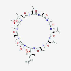 molecular formula C62H111N11O14 B12407982 cyclo[Ala-D-Ala-N(Me)Leu-Leu-N(Me)Val-N(Me)Bmt(E)-Thr-D-N(Me)Ala-N(Me)Thr(Me)-Leu-N(Me)Leu] 