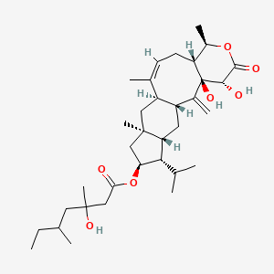 molecular formula C34H54O7 B1240803 (1R,4R,4aR,6Z,7aR,8aR,10S,11S,11aR,12aR,13aR)-1,13a-dihydroxy-11-isopropyl-4,7,8a-trimethyl-13-methylene-2-oxo-1,2,4,4a,5,7a,8,8a,9,10,11,11a,12,12a,13,13a-hexadecahydroindeno[5',6':4,5]cycloocta[1,2-c]pyran-10-yl 3-hydroxy-3,5-dimethylheptanoate 