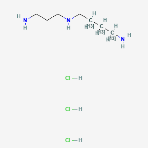 Spermidine-13C4 (hydrochloride)