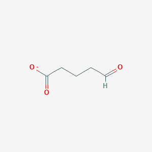 molecular formula C5H7O3- B1240814 5-Oxopentanoate 