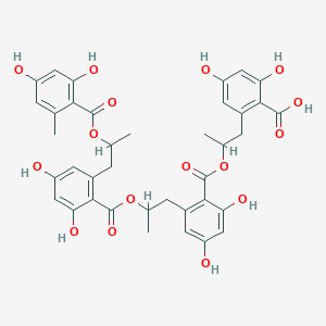 molecular formula C38H38O16 B1240843 2-{2-[(2-{2-[(2-{2-[(2,4-二羟基-6-甲基苯甲酰)氧基]丙基}-4,6-二羟基苯甲酰)氧基]丙基}-4,6-二羟基苯甲酰)氧基]丙基}-4,6-二羟基苯甲酸 