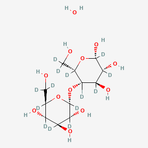 molecular formula C12H24O12 B12408518 Maltose monohydrate-d14 