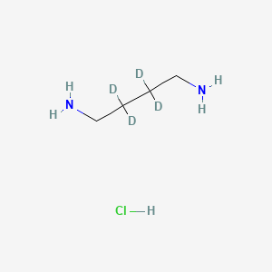 1,4-Butane-2,2,3,3-d4-diamine, dihydrochloride (9CI); 1,4-Butane-2,2,3,3-d4-diamine 2HCl; 1,4-Butane-2,2,3,3-d4-diamine dihydrochloride; 1,4-Diaminobutane-2,2,3,3-D4 dihydrochloride; 1,4-Diaminobutane-d4 dihydrochloride; Putrescine-d4 dihydrochloride