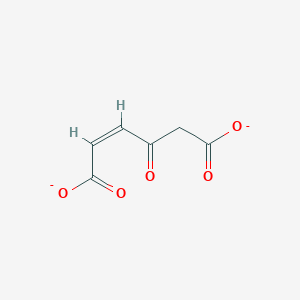 molecular formula C6H4O5-2 B1240894 Maleylacetate 