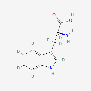 molecular formula C11H12N2O2 B12408940 L-Tryptophan-d8 