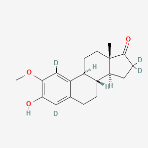 molecular formula C19H24O3 B12409311 2-Methoxyestrone-d4 