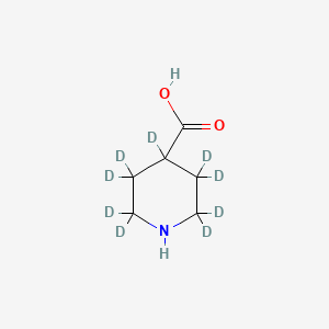 molecular formula C6H11NO2 B12409340 4-Piperidine-d9-carboxylic acid 