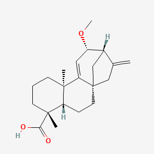 molecular formula C21H30O3 B12409376 12|A-Methoxygrandiflorenic acid 