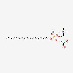 molecular formula C21H45NO6P+ B1240953 [Phosphoric acid tetradecyl(R)-1-carboxymethyl-2-(trimethylaminio)ethyl]dianion 