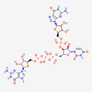 molecular formula C31H42N12O26P4 B12409537 m7GpppUmpG 