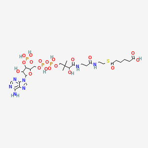 molecular formula C27H44N7O19P3S B1240958 6-[2-[3-[[(2R)-4-[[[(2R,3S,4R,5R)-5-(6-Aminopurin-9-YL)-4-hydroxy-3-phosphonooxyoxolan-2-YL]methoxy-hydroxyphosphoryl]oxy-hydroxyphosphoryl]oxy-2-hydroxy-3,3-dimethylbutanoyl]amino]propanoylamino]ethylsulfanyl]-6-oxohexanoic acid CAS No. 25119-42-0