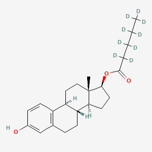 Estradiol 17-Valerate-d9