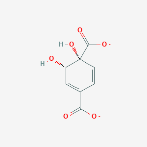molecular formula C8H6O6-2 B1241026 (3S,4R)-3,4-Dihydroxycyclohexa-1,5-diene-1,4-dicarboxylate 