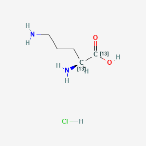 molecular formula C5H13ClN2O2 B12411183 L-Ornithine-1,2-13C2 (hydrochloride) 