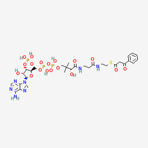 benzoylacetyl-CoA