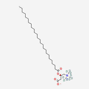 molecular formula C33H65NO4 B12411927 hexacosanoyl DL-carnitine-d9 