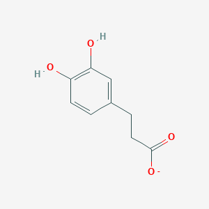 molecular formula C9H9O4- B1241206 3-(3,4-Dihydroxyphenyl)propanoate 