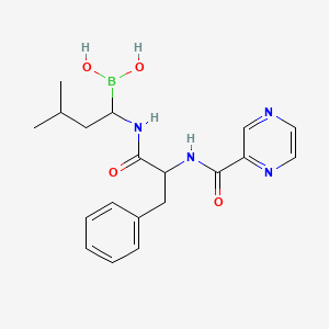molecular formula C19H25BN4O4 B1241208 [3-Methyl-1-[[1-oxo-2-[[oxo(2-pyrazinyl)methyl]amino]-3-phenylpropyl]amino]butyl]boronic acid 