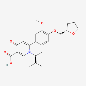 molecular formula C23H27NO6 B12412096 Hbv-IN-24 