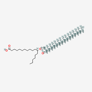 molecular formula C34H66O4 B12412496 12-Pahsa-13C16 