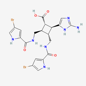 molecular formula C20H21Br2N7O4 B1241268 （1S,2S,3R,4R）-2-(2-氨基-1H-咪唑-5-基)-3,4-双[[（4-溴-1H-吡咯-2-羰基）氨基]甲基]环丁烷-1-羧酸 