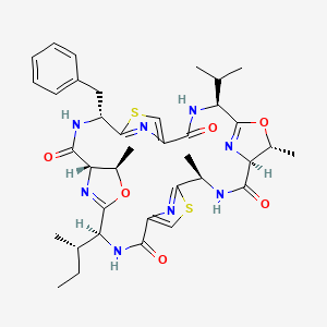 molecular formula C37H46N8O6S2 B1241281 帕特拉酰胺 C 
