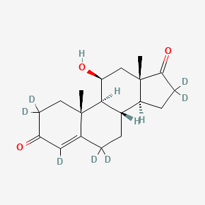 11-Beta-hydroxyandrostenedione-d7