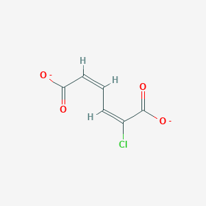 molecular formula C6H3ClO4-2 B1241311 2-氯-顺，顺-粘康酸 