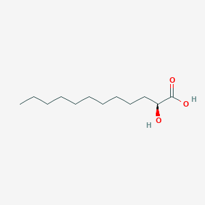molecular formula C12H24O3 B1241318 (S)-2-hydroxylauric acid 