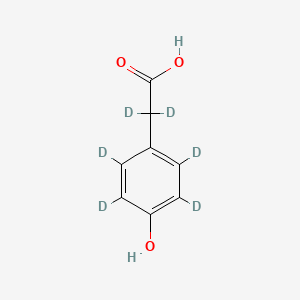 molecular formula C8H8O3 B12413197 4-Hydroxyphenylacetic acid-d6 