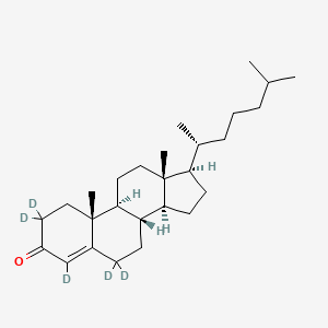 molecular formula C27H44O B12413318 4-Cholesten-3-one-2,2,4,6,6-D5 