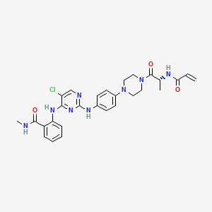 molecular formula C28H31ClN8O3 B12413844 Fak-IN-2 