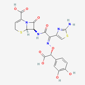 B1241416 (6R,7R)-7-[[(2E)-2-(2-Amino-1,3-thiazol-4-yl)-2-[(R)-carboxy-(3,4-dihydroxyphenyl)methoxy]iminoacetyl]amino]-8-oxo-5-thia-1-azabicyclo[4.2.0]oct-2-ene-2-carboxylic acid CAS No. 130853-14-4