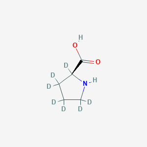 molecular formula C5H9NO2 B12414255 L-Proline-d7 