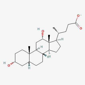 molecular formula C24H39O4- B1241440 3alpha,12alpha-Dihydroxy-5beta-cholanate 