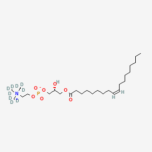 L-Alpha-Lysophosphatidylcholine,oleoyl-d9