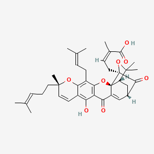 molecular formula C38H44O8 B12414463 Epigambogic acid 