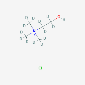 molecular formula C5H14ClNO B12414516 Choline-D13 chloride 