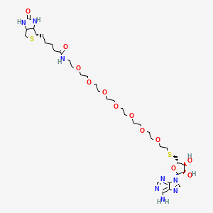 Biotin-PEG7-C2-S-Vidarabine