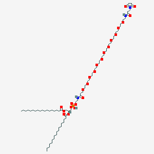 DSPE-PEG12-Mal