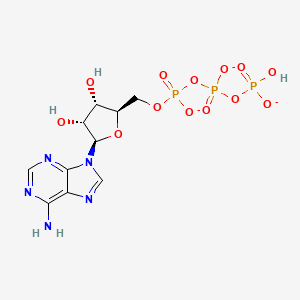 molecular formula C10H13N5O13P3-3 B1241487 [[[(2R,3S,4R,5R)-5-(6-aminopurin-9-yl)-3,4-dihydroxyoxolan-2-yl]methoxy-oxidophosphoryl]oxy-oxidophosphoryl] hydrogen phosphate 