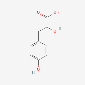 molecular formula C9H9O4- B1241504 3-(4-Hydroxyphenyl)lactate 