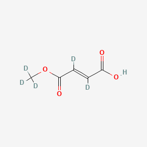 molecular formula C5H6O4 B12415126 Fumaric Acid Monomethyl Ester-d5 