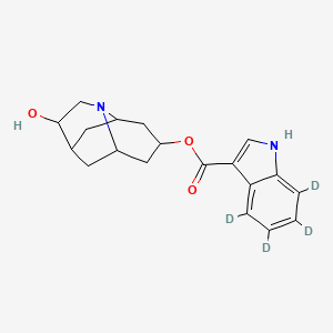 molecular formula C19H22N2O3 B12415244 Hydrodolasetron-d4 