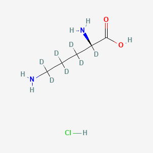 L-Ornithine-2,3,3,4,4,5,5-D7 hcl