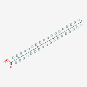 molecular formula C19H38O2 B12415802 Nonadecanoic-d37 acid 