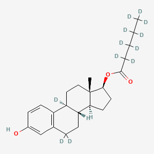 Estradiol valerianate-d12