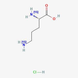 molecular formula C5H13ClN2O2 B12416164 L-Ornithine-15N2 (hydrochloride) 