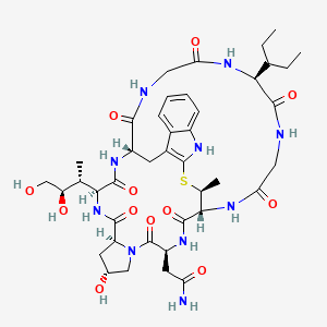 molecular formula C41H58N10O12S B12416503 2-[(1R,4S,8R,10S,13S,16S,28S,34S)-13-[(2R,3R)-3,4-dihydroxybutan-2-yl]-8-hydroxy-28-methyl-2,5,11,14,30,33,36,39-octaoxo-34-pentan-3-yl-27-thia-3,6,12,15,25,29,32,35,38-nonazapentacyclo[14.12.11.06,10.018,26.019,24]nonatriaconta-18(26),19,21,23-tetraen-4-yl]acetamide 