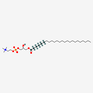 molecular formula C32H66NO7P B12416579 [(2R)-2-hydroxy-3-(1,2,3,4,5,6-13C6)tetracosanoyloxypropyl] 2-(trimethylazaniumyl)ethyl phosphate 